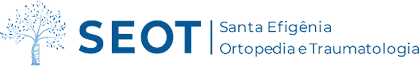 SEOT Santa Efigênia — Ortopedia e Traumatologia